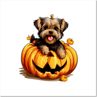 Yorkshire Terrier Dog inside Pumpkin #3 Posters and Art